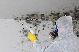 Best Mold Damage Restoration  in USA